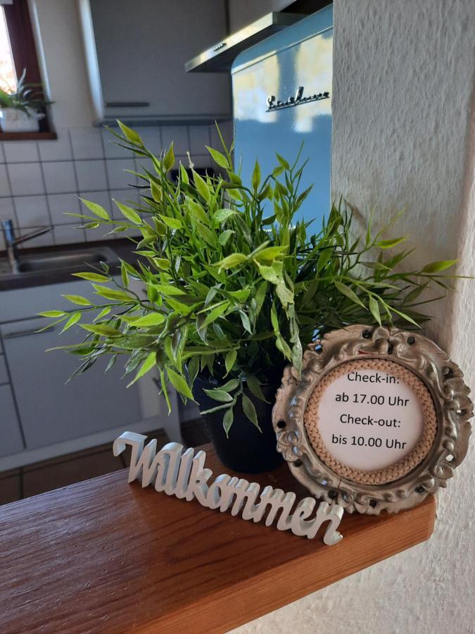 Schoene Einzimmer Wohnung Zwischen Bodensee Und Allgaeu Neukirch  Ngoại thất bức ảnh